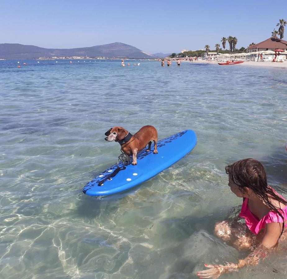 شقة Alghero Lido Monolocale المظهر الخارجي الصورة